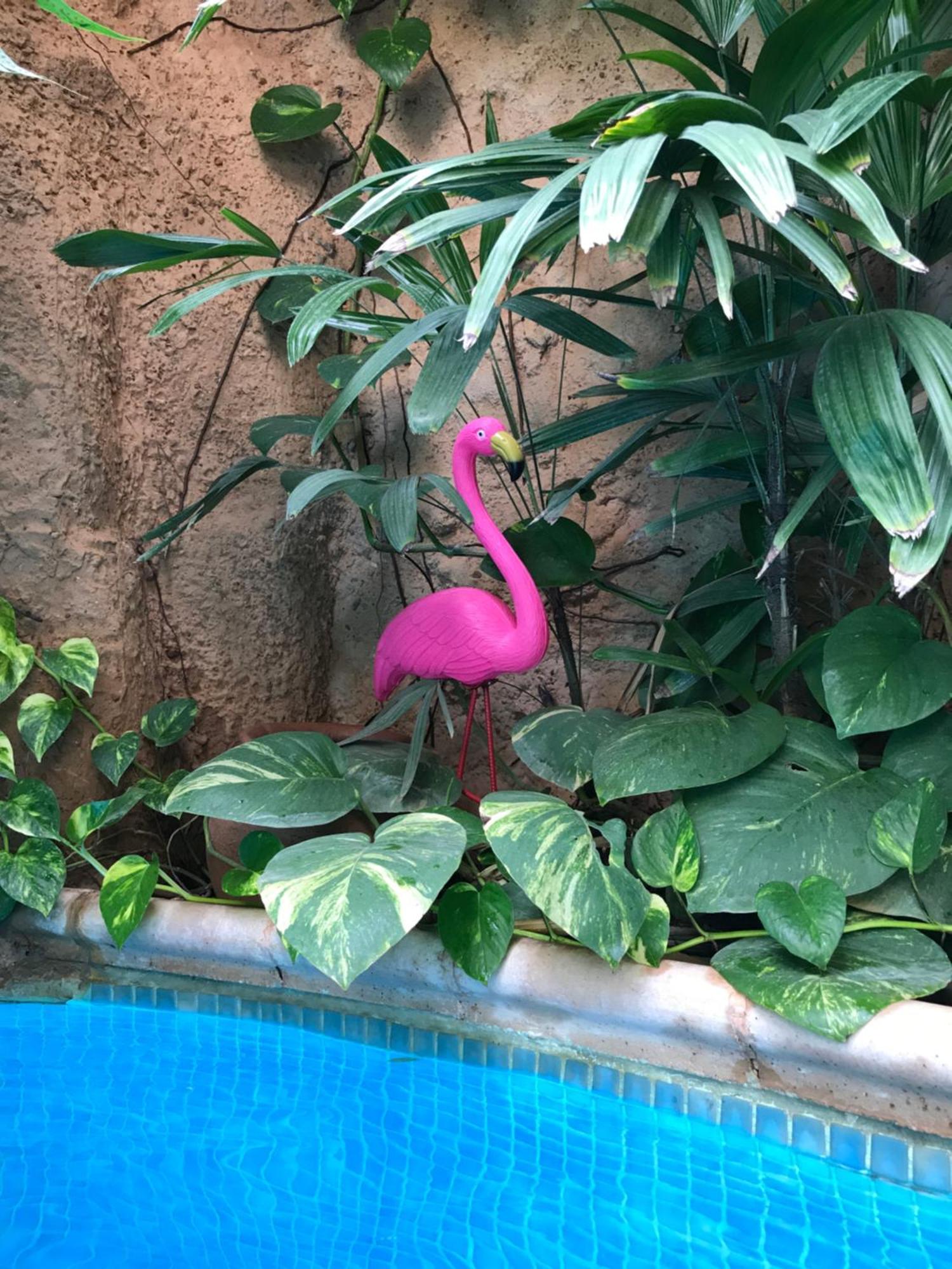 Ouakam Tropical Oasis 아파트 외부 사진