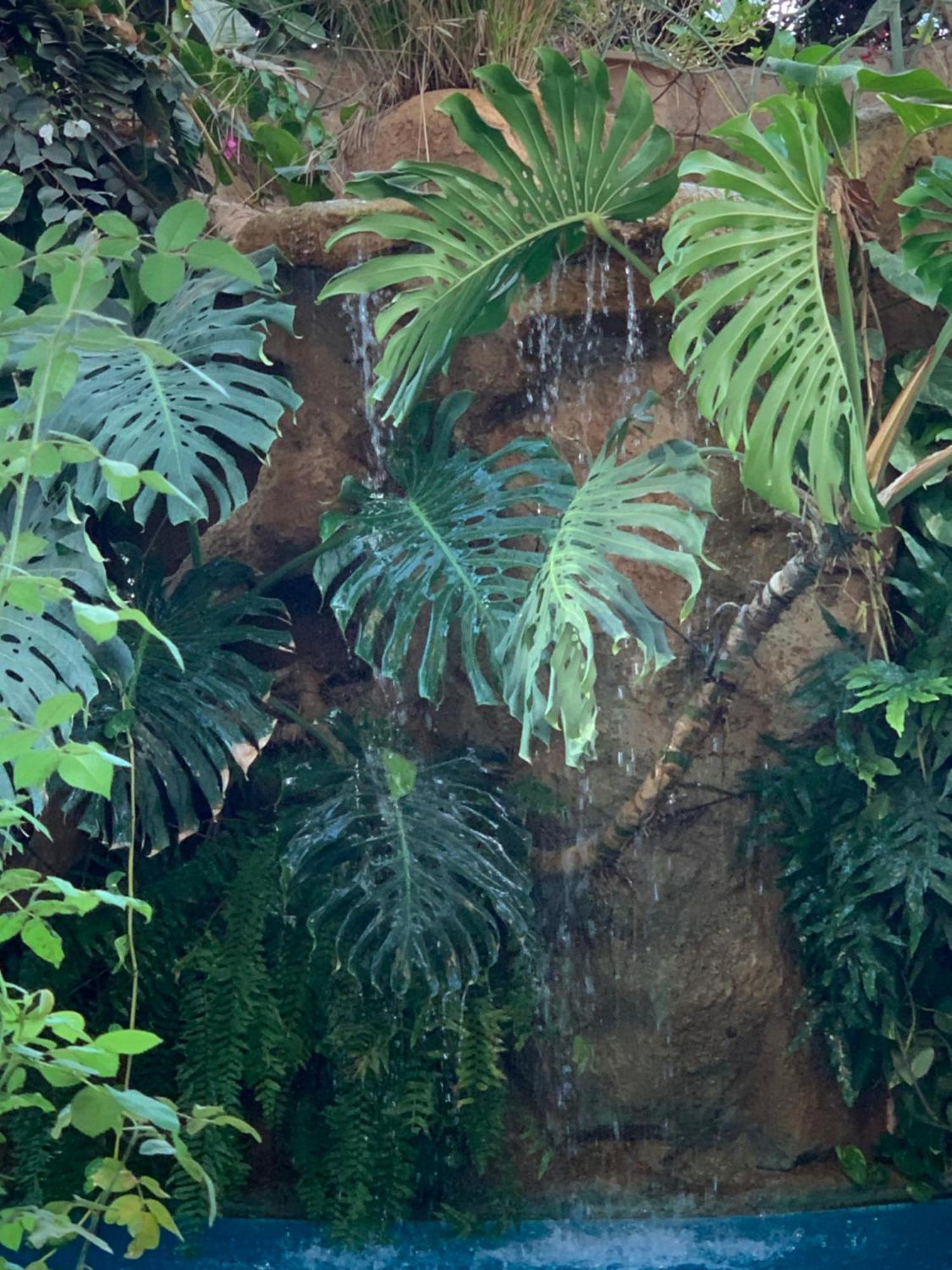Ouakam Tropical Oasis 아파트 외부 사진