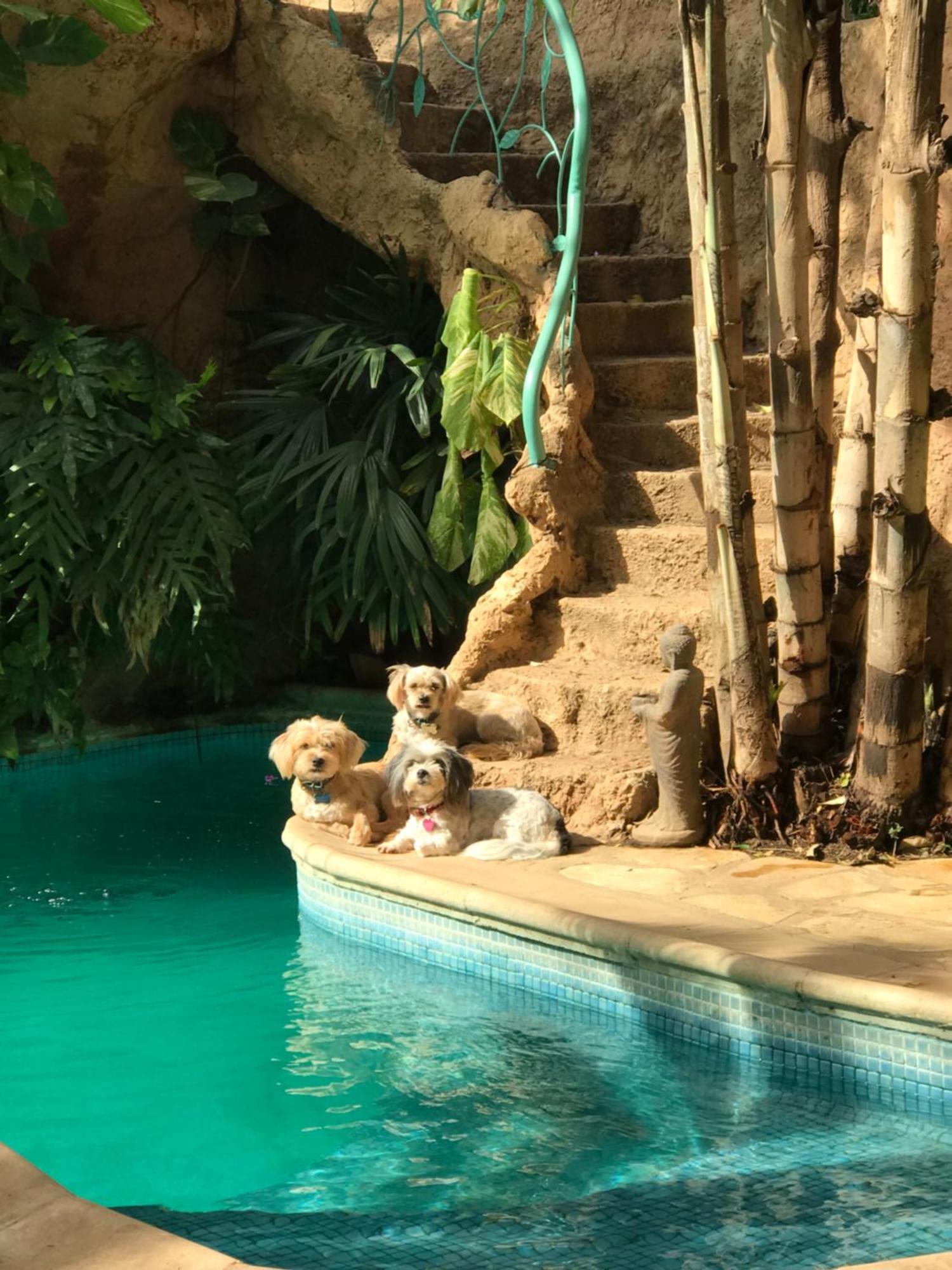 Ouakam Tropical Oasis 아파트 외부 사진